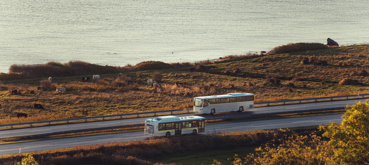 NT busser i landskabet
