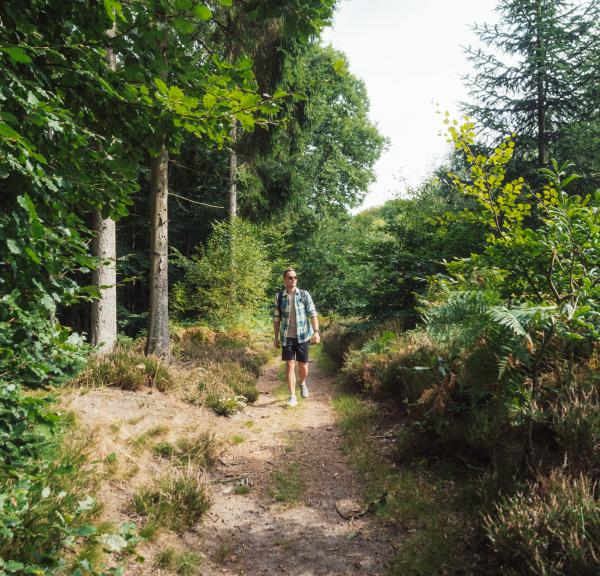 Storslået naturoplevelser