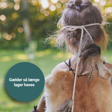 Vikingeuge på Biecentret