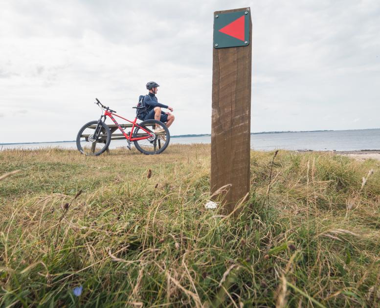 cykling ved Limfjorden