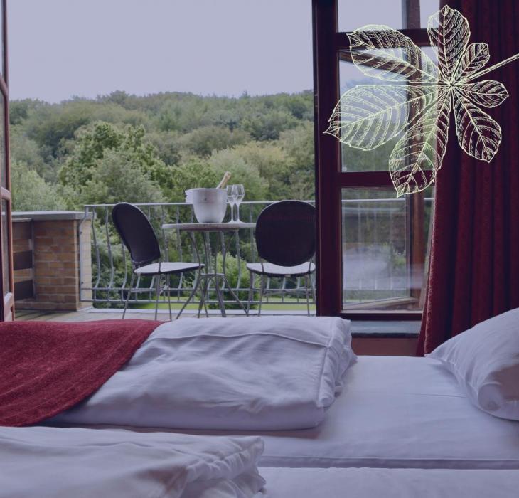 Hotel Amerika - udsigt til skoven